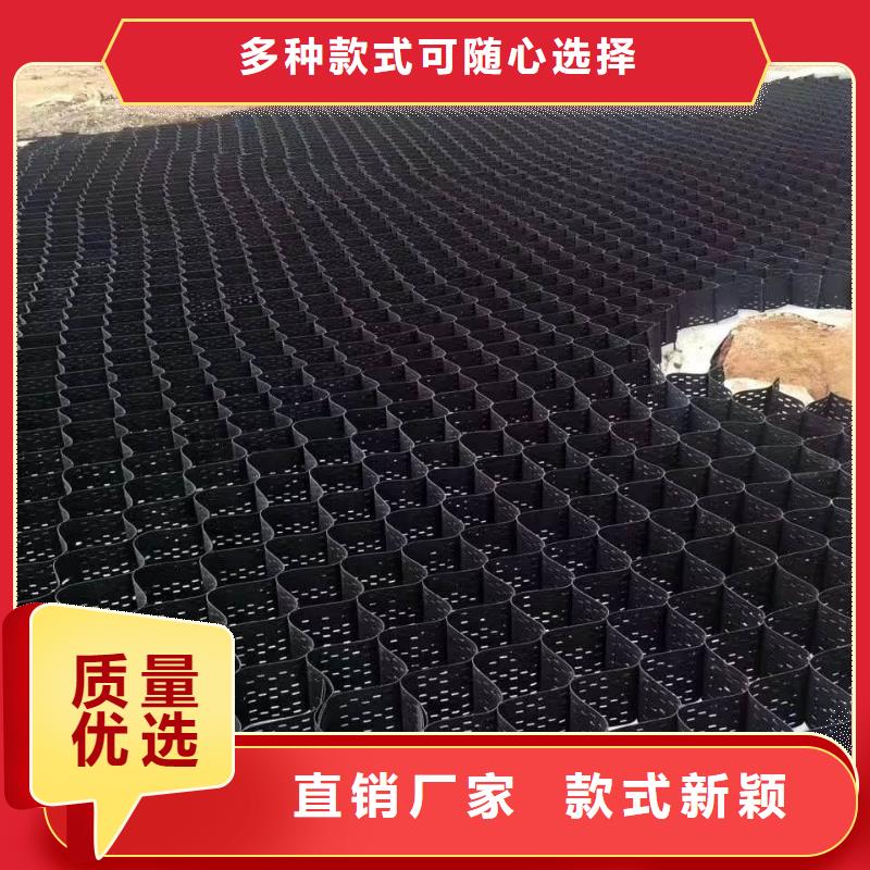 土工格室双向塑料土工格栅品牌专营