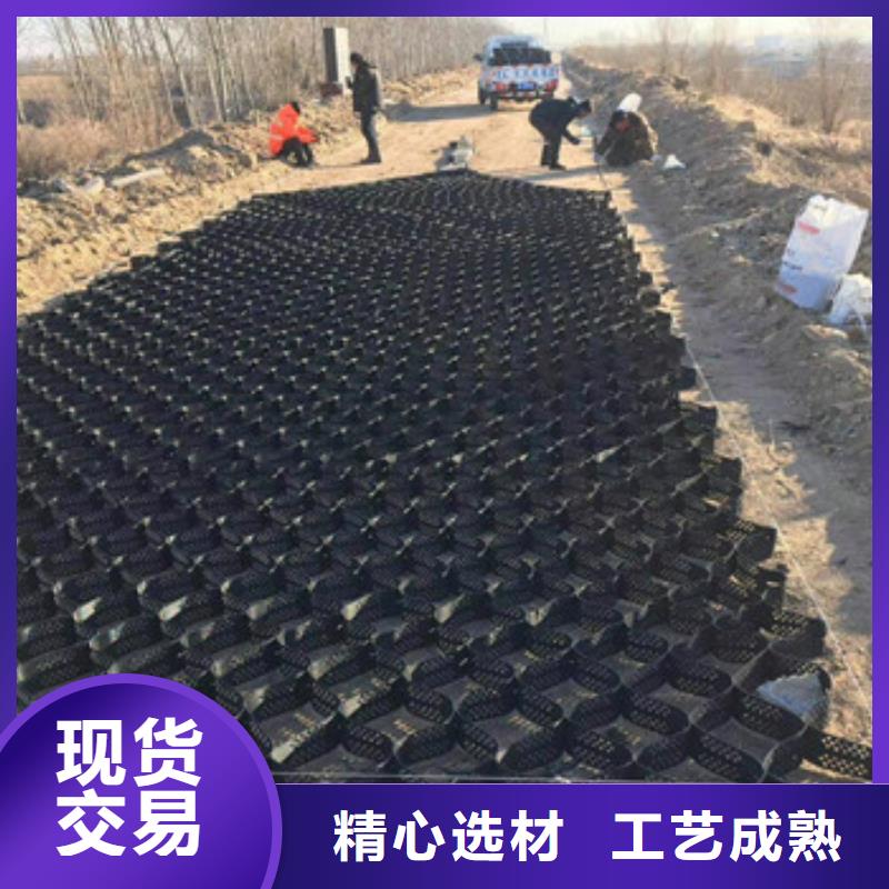 土工格室钢塑土工格栅海量货源