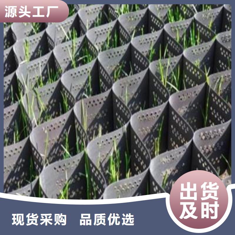 土工格室钢塑土工格栅海量货源