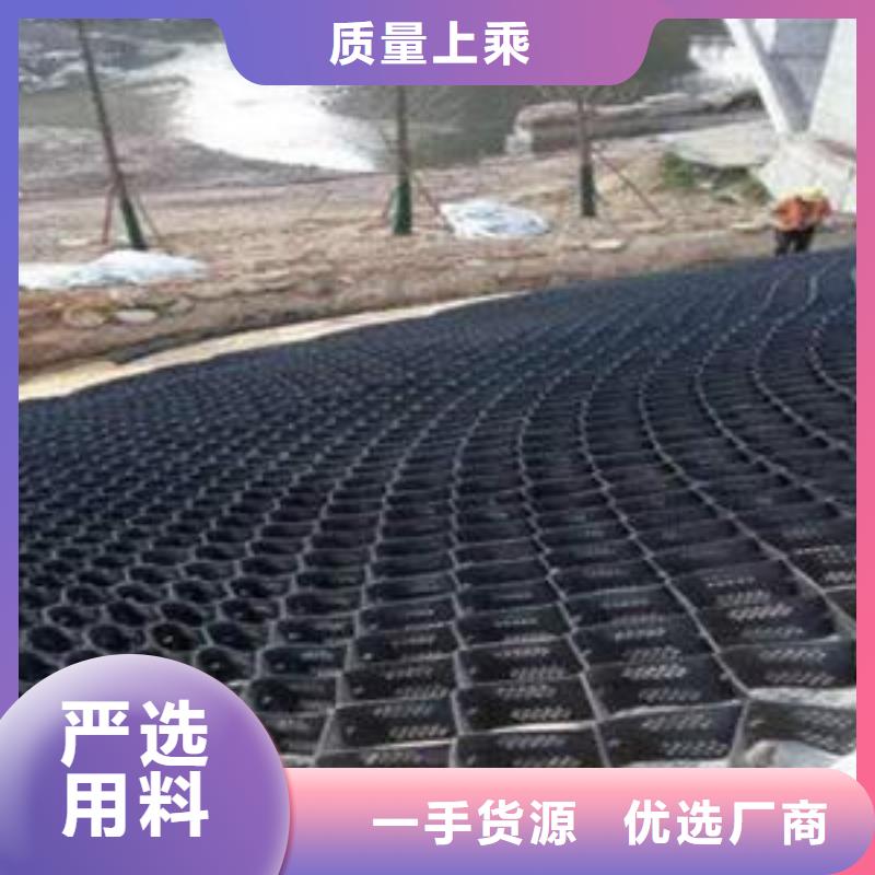 土工格室钢塑土工格栅海量货源