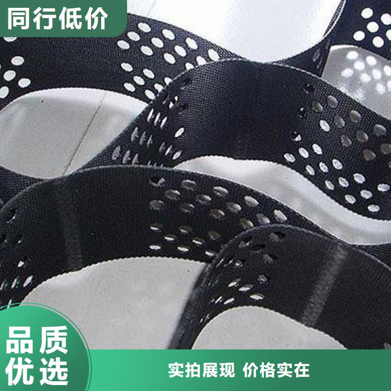 土工格室钢塑土工格栅海量货源