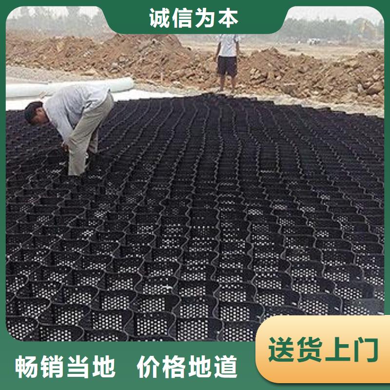 土工格室三维土工网垫用心做产品