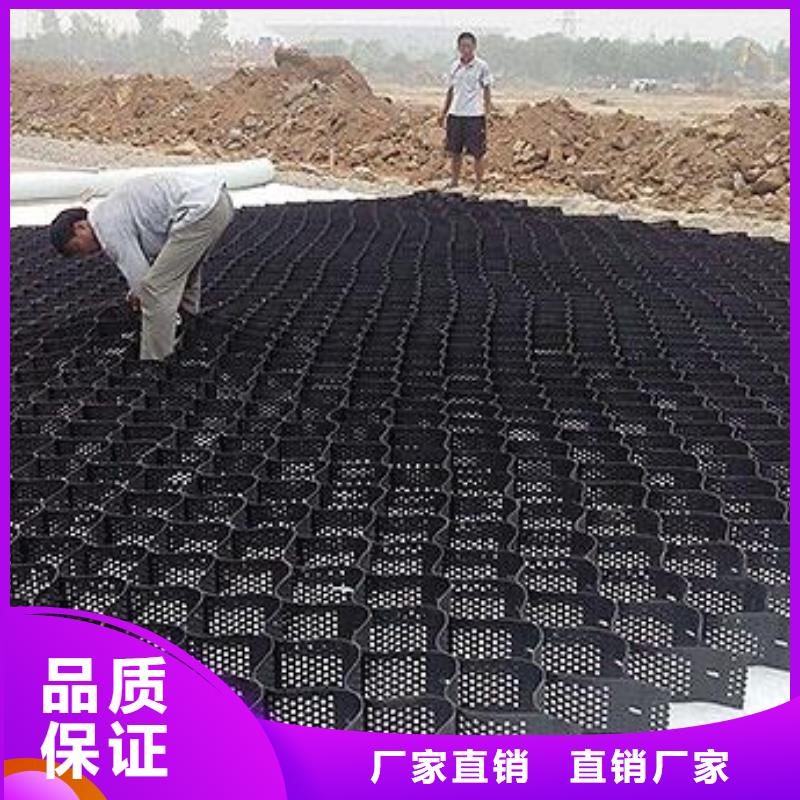 土工格室双向塑料土工格栅品牌专营