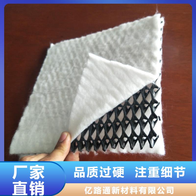 【三维复合排水网透水土工布信誉有保证】