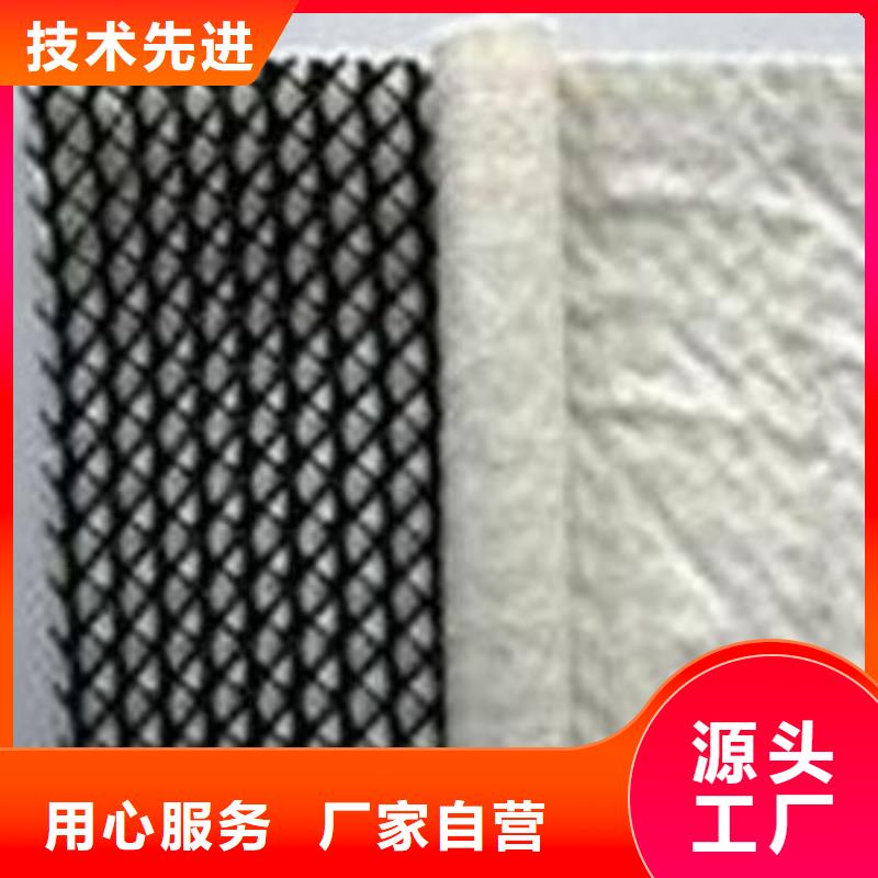 【三维复合排水网】,反滤土工布专注细节使用放心 亿路通新材料(阳泉市分公司)