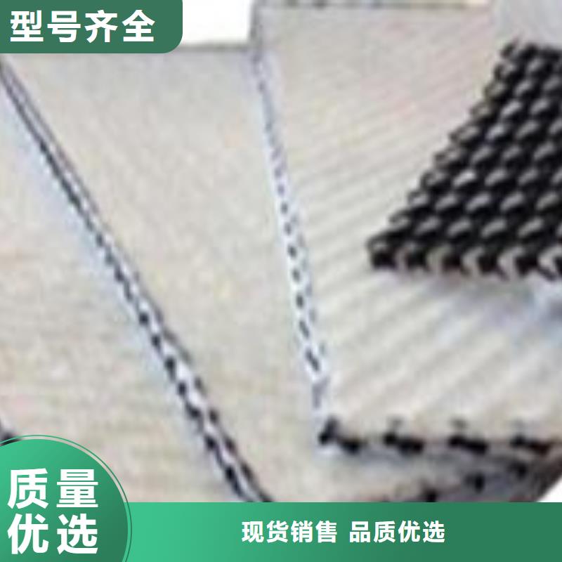 三维复合排水网透水土工布快速物流发货