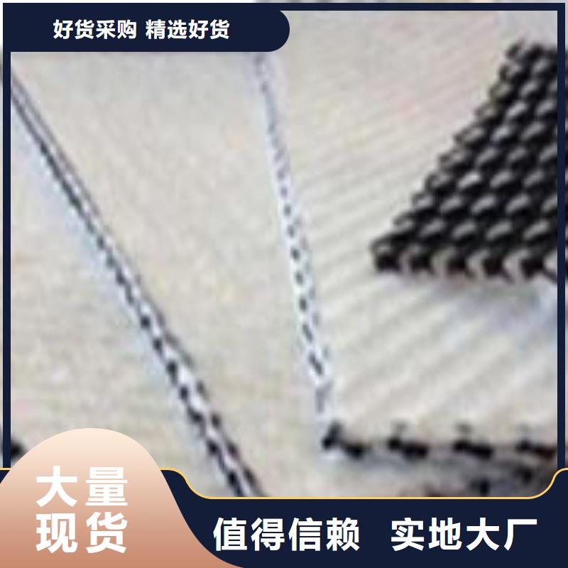 【三维复合排水网透水土工布信誉有保证】