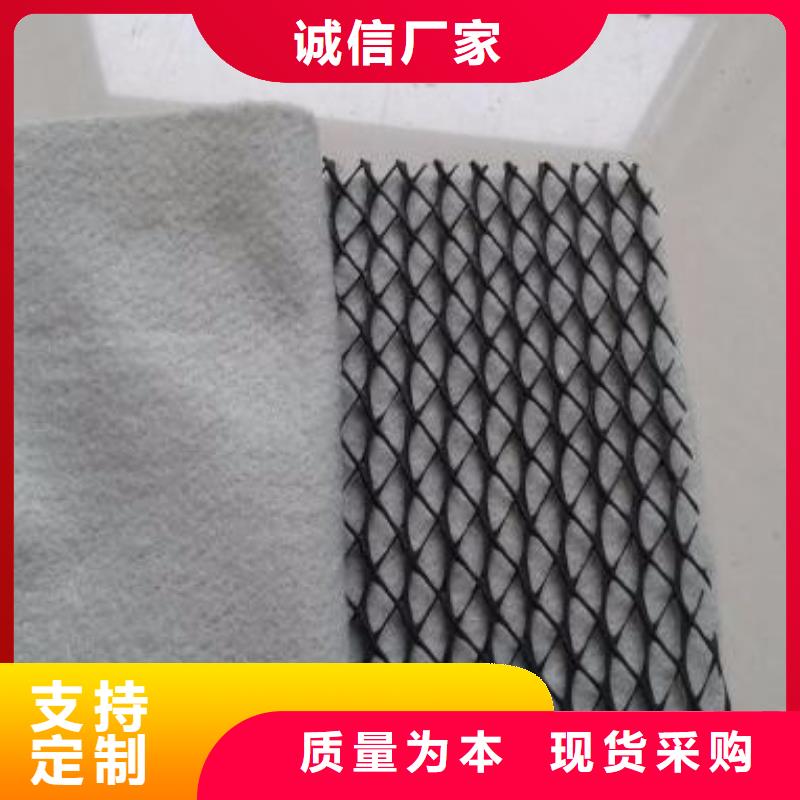 三维复合排水网_双向土工格栅货源直供
