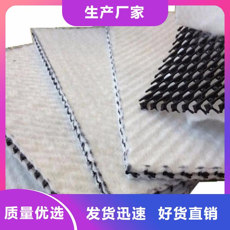 三维复合排水网hdpe士工膜用心制造