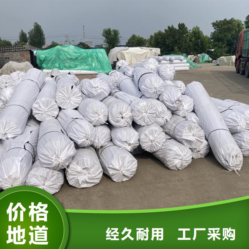 钢塑土工格栅膨润土防水垫来图定制