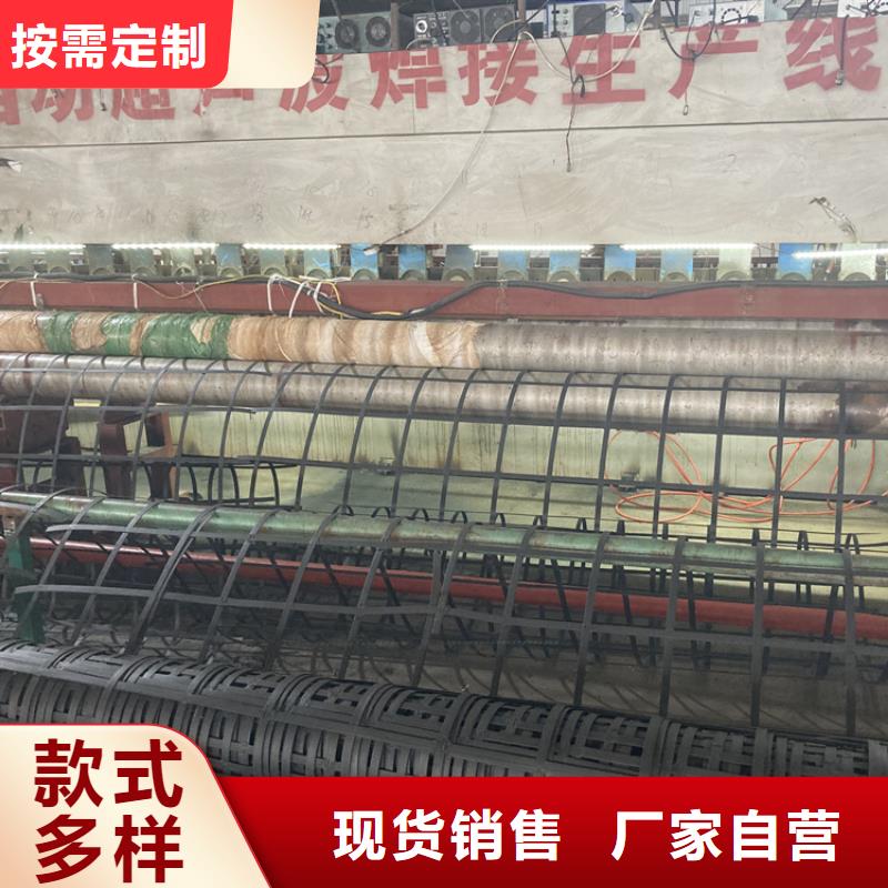 钢塑土工格栅-双向塑料格栅现货供应
