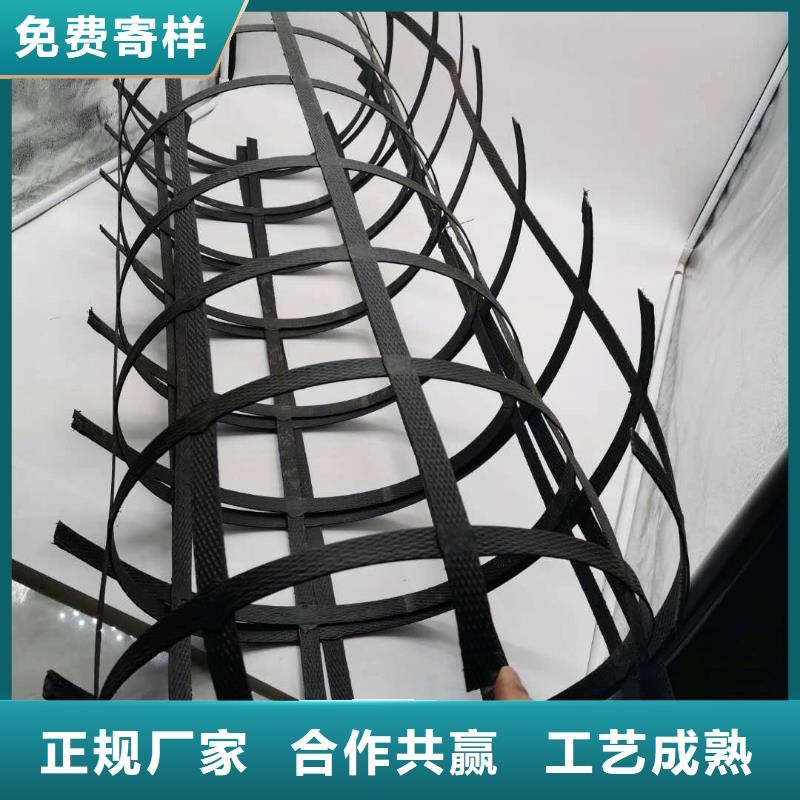 钢塑土工格栅_三维植被网产地直供