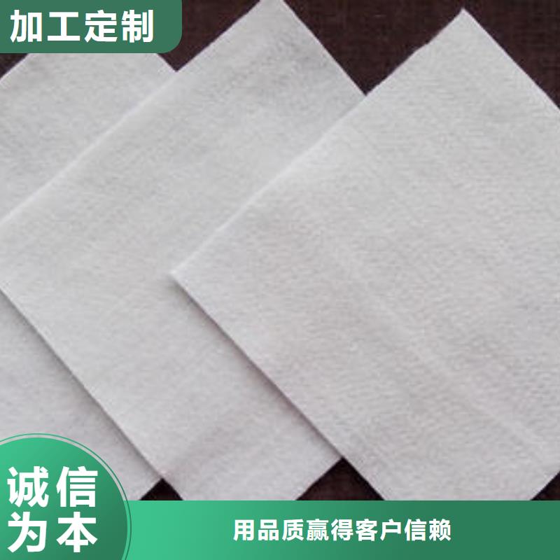 土工布单向塑料格栅打造行业品质