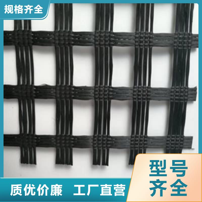 玻纤土工格栅钢塑土工格栅快速生产