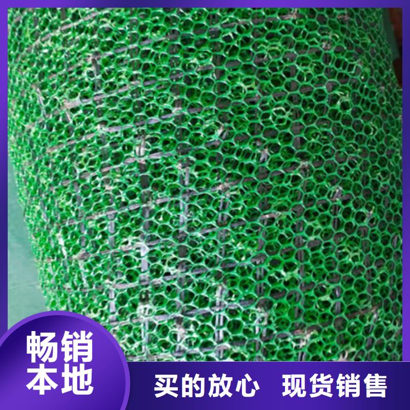 中齐土工格室三维植被网【钢塑土工格栅 】商家