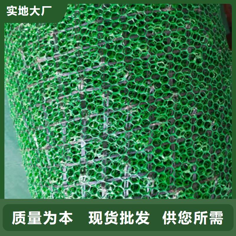 三维植被网防水土工布工厂认证