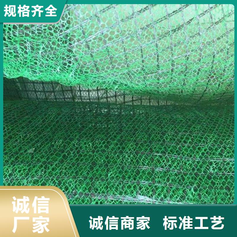 三维植被网_土工格室今日价格