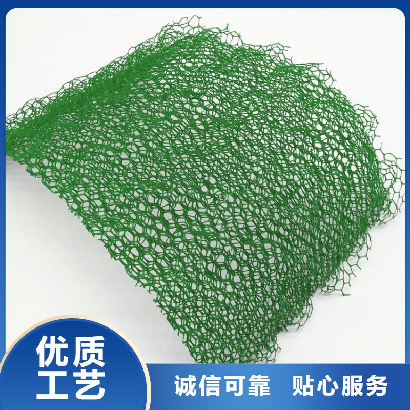 三维植被网钢塑土工格栅研发生产销售