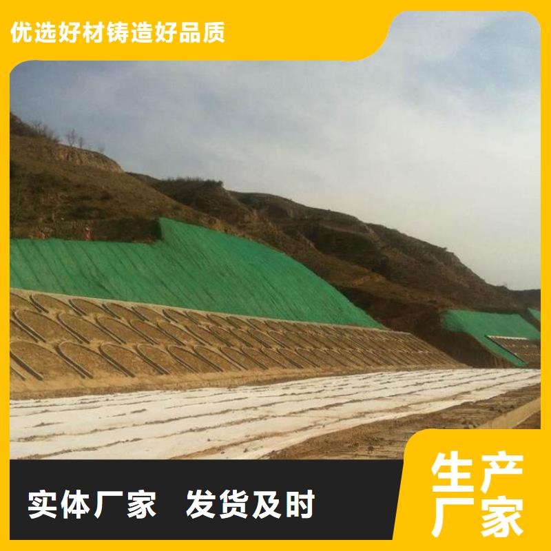 |高坪|蓬安|巴中|乐山|遂宁|雅安中齐三维植被网-【双向塑料格栅 】专注产品质量与服务