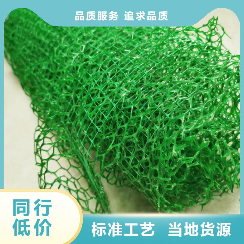 三维植被网单向塑料土工格栅精心