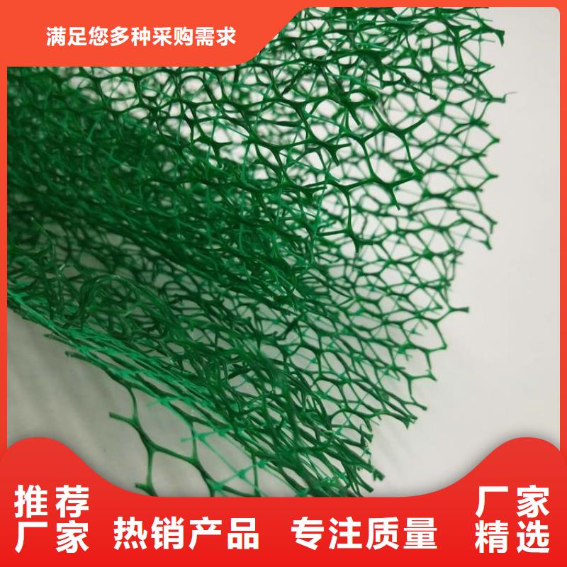 三维植被网_涤纶格栅自主研发