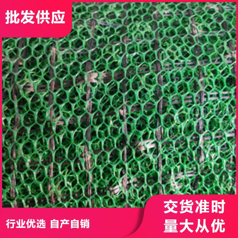 三维植被网防水土工布可定制