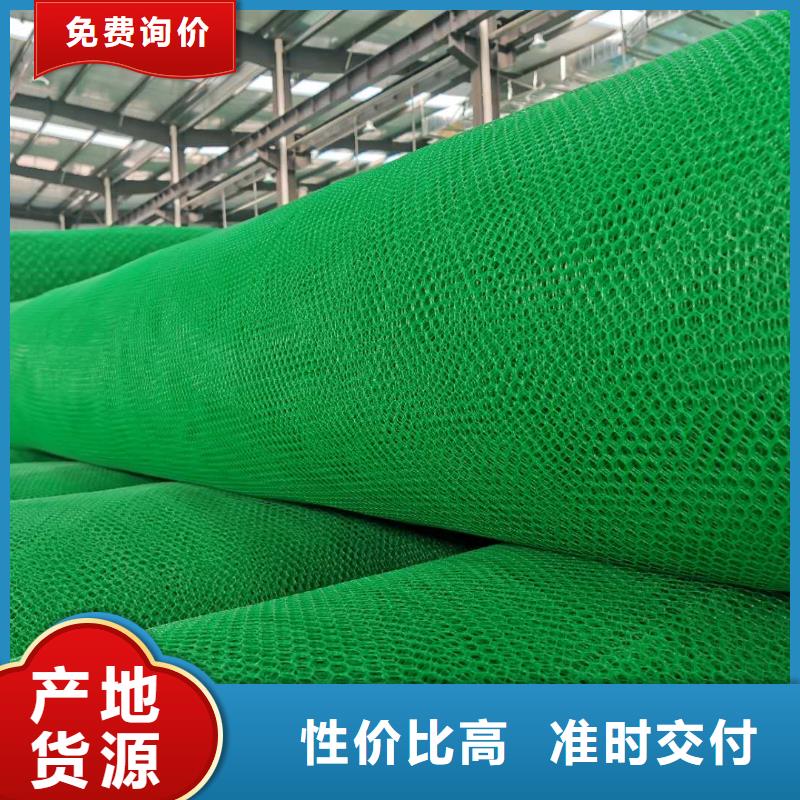 中齐土工格室三维植被网【钢塑土工格栅 】商家