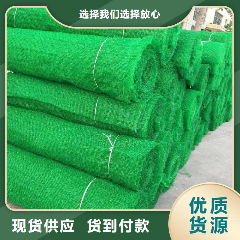 中齐土工格室三维植被网【钢塑土工格栅 】商家