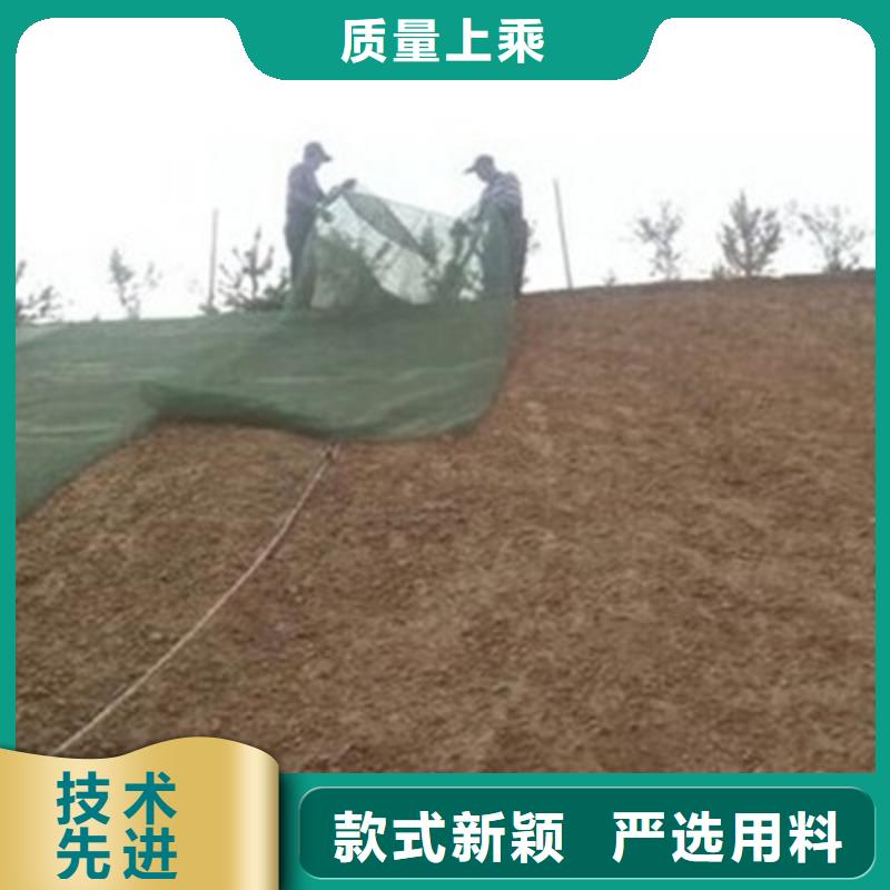 三维植被网单向塑料土工格栅精心