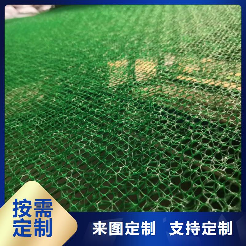 送货上门 三维植被网_【双向塑料格栅 】匠心打造价格,供应商-二八商务