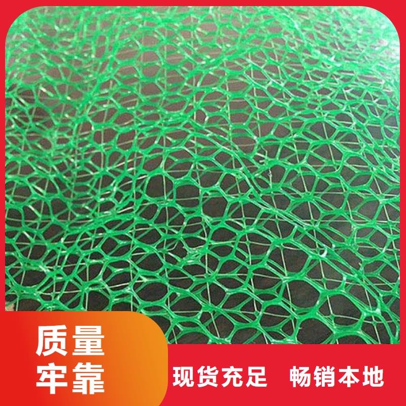 |高坪|蓬安|巴中|乐山|遂宁|雅安中齐三维植被网-【双向塑料格栅 】专注产品质量与服务