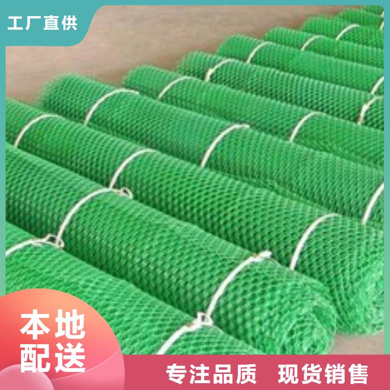 三维植被网-排水沟盖板主推产品