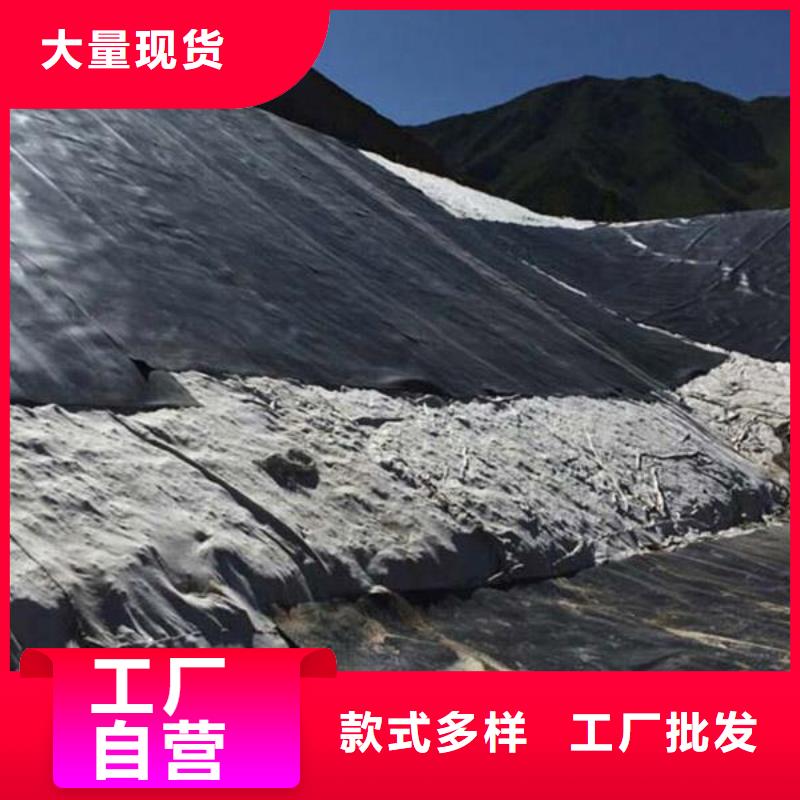 土工膜凸结点钢塑土工格栅一个起售