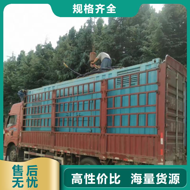 出租环保发电机