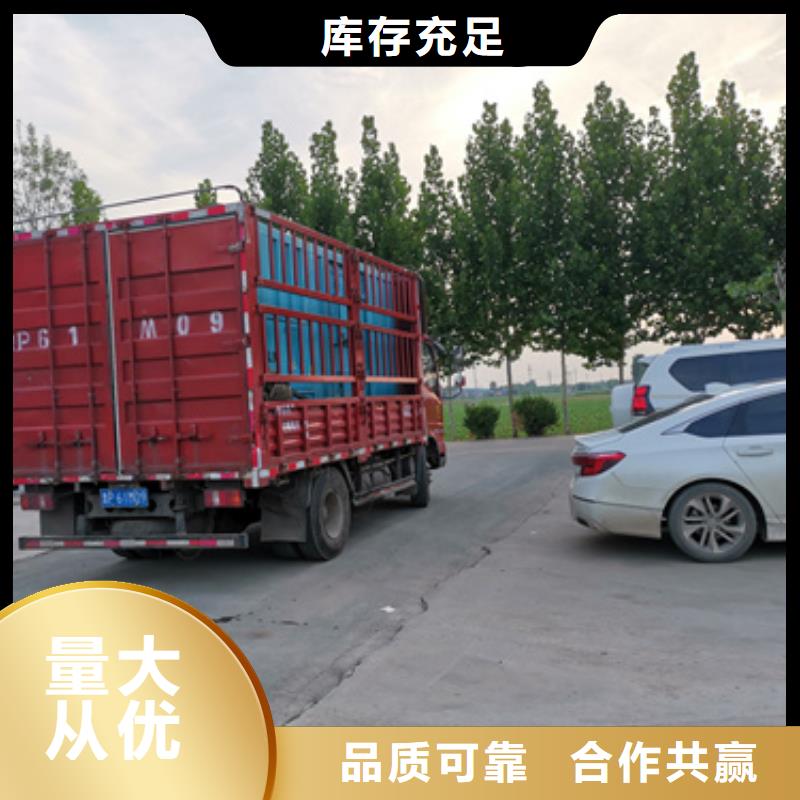 柴油发电机租赁供应商