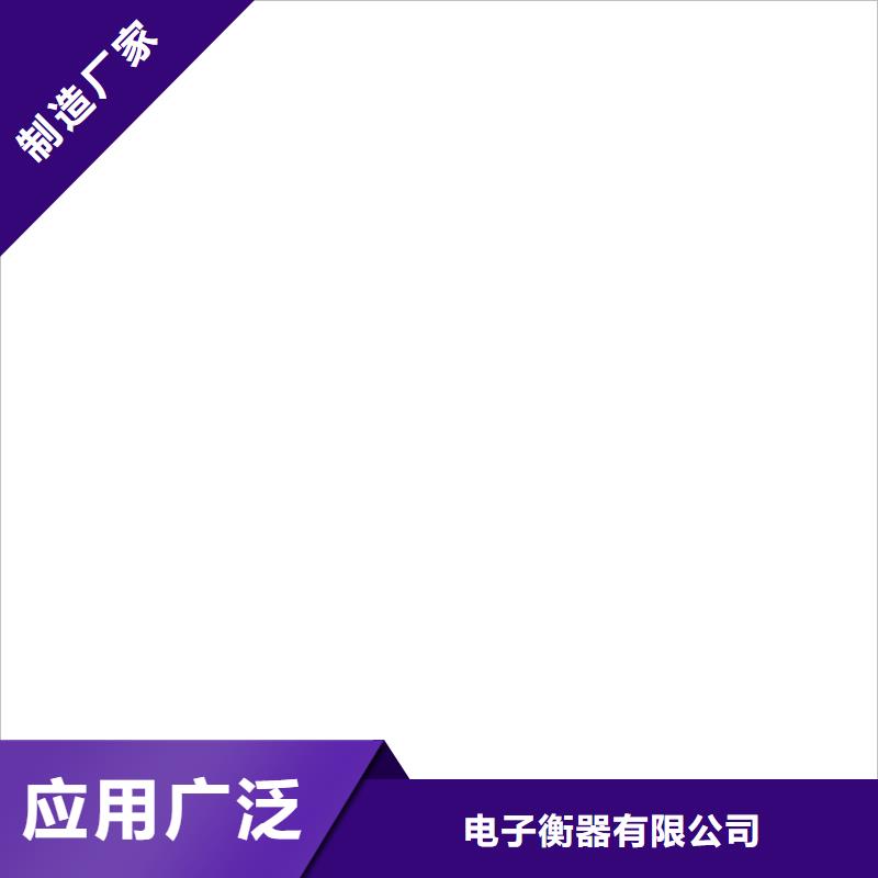 铲车秤品质之选