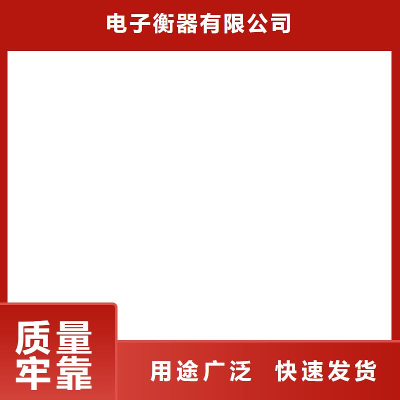 防爆地磅,电子天平货源稳定