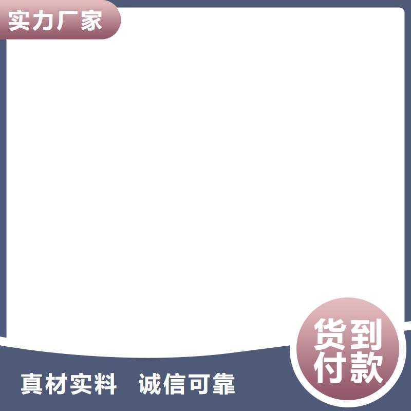 【 电子皮带秤电子地磅来图定制】-市场覆盖|麻章|廉江|佛山|肇庆|阳江|揭阳|广州|珠海-二八商务