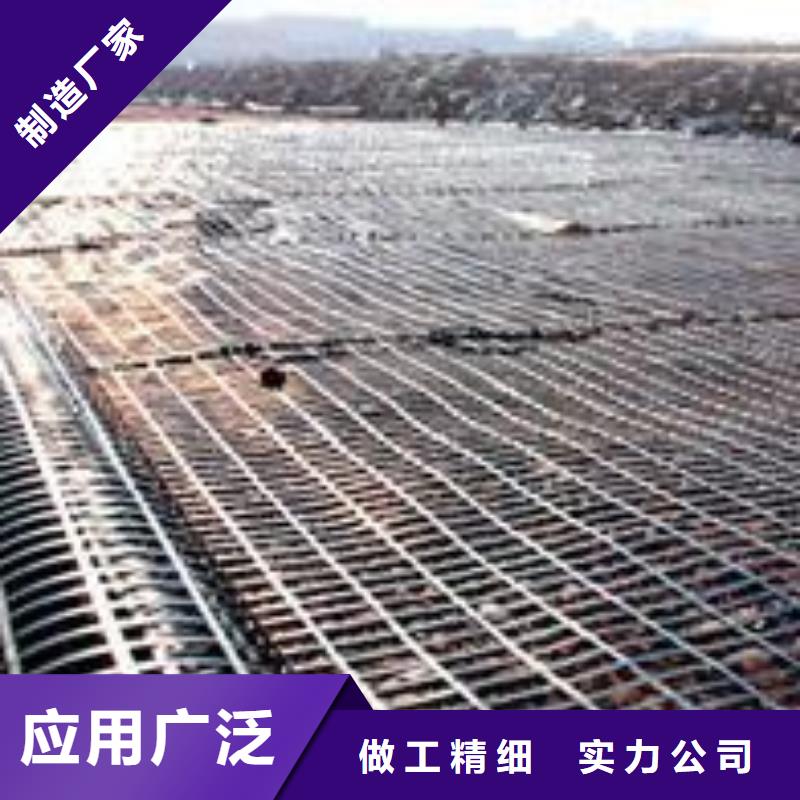 钢塑土工格栅三维复合排水网高质量高信誉