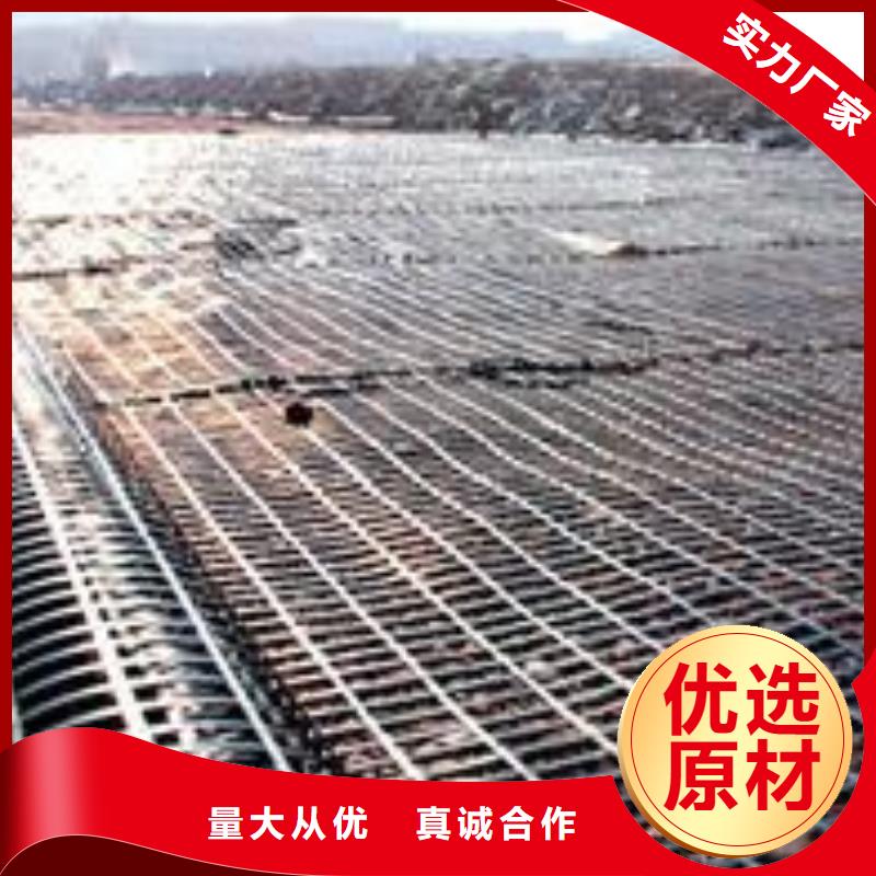 钢塑土工格栅,三维土工网垫产地货源