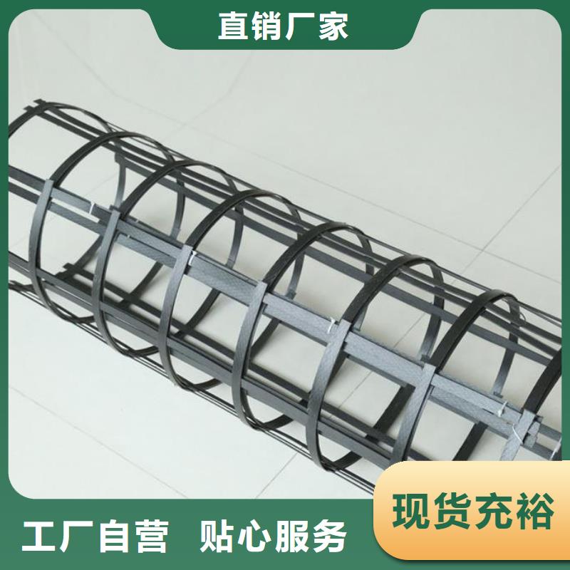 品牌:鼎诺-【工厂现货供应 钢塑土工格栅-三维植被网品质无所畏惧】_二八商务