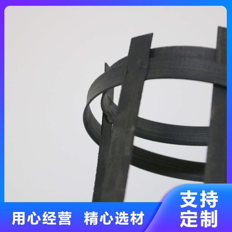 【 钢塑土工格栅_三维复合排水网现货充裕】|护坡土工网-鼎诺土工材料(盐城市分公司)