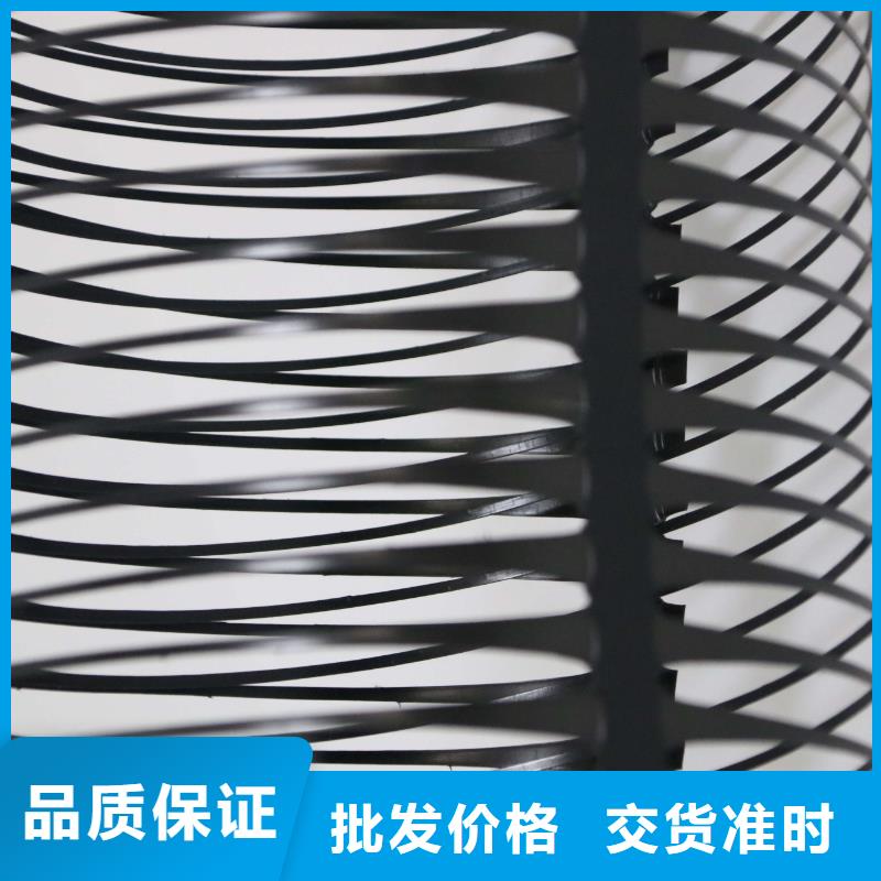 【 单向拉伸塑料格栅_钢塑土工格栅现货销售】本地品牌