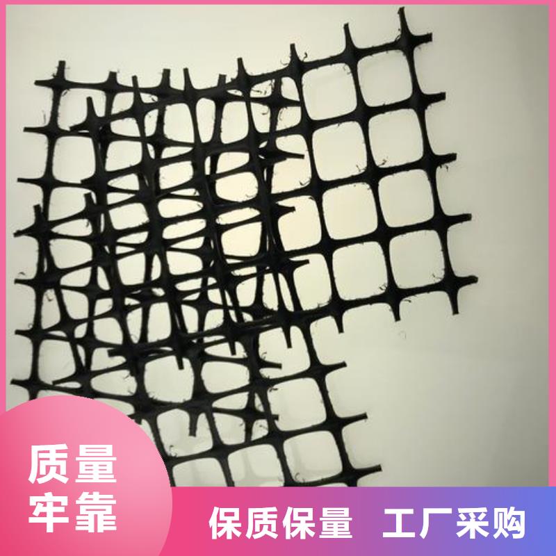 双向塑料土工格栅土工布规格齐全实力厂家