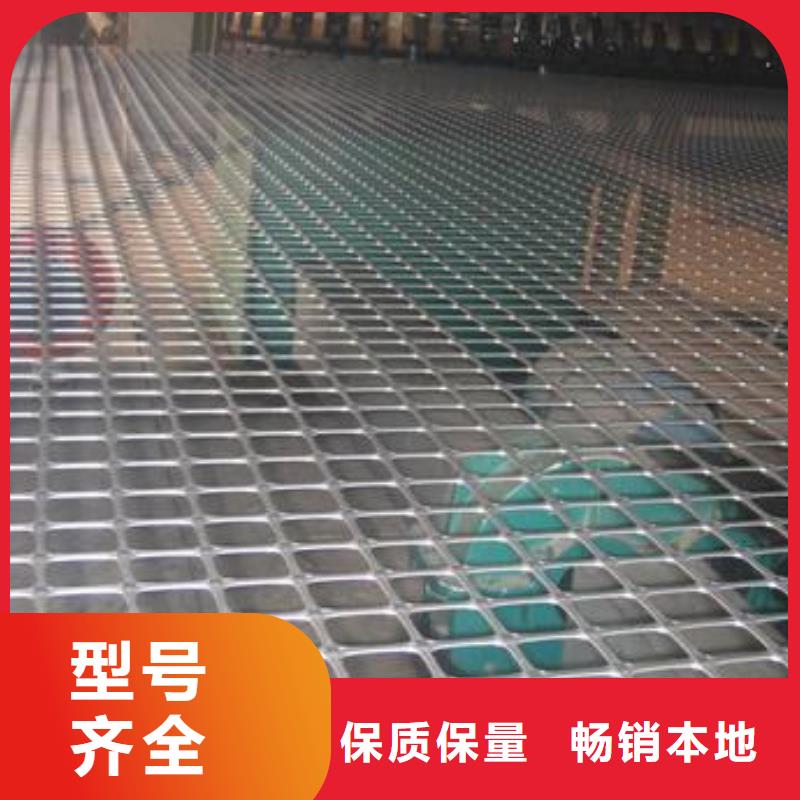 双向塑料土工格栅,三维土工网垫好货直供