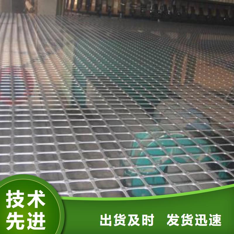 双向塑料土工格栅三维土工网垫物流配送