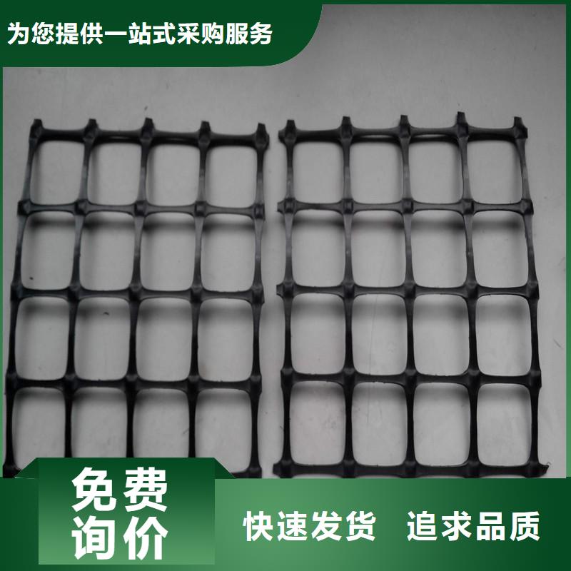 【双向塑料土工格栅】护坡土工网按需设计