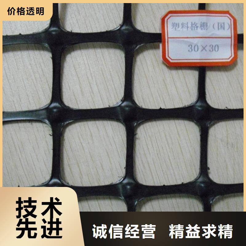 双向塑料土工格栅,三维土工网垫好货直供