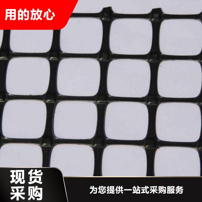 双向塑料土工格栅,三维土工网垫好货直供