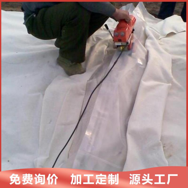 土工膜护坡土工网厂家直销